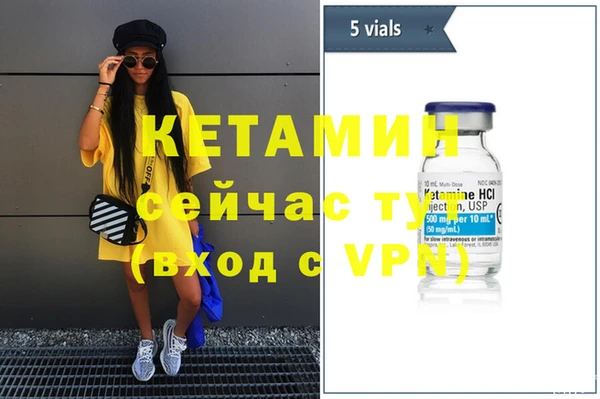 сатива Заводоуковск