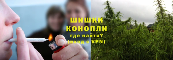 сатива Заводоуковск