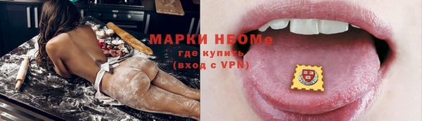 сатива Заводоуковск
