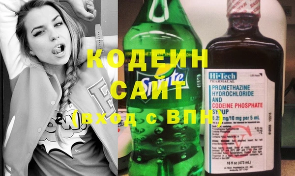 сатива Заводоуковск