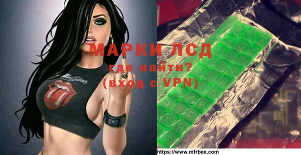 сатива Заводоуковск