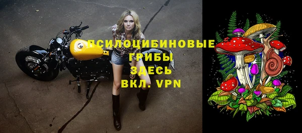 МДПВ Заволжск