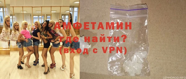 сатива Заводоуковск