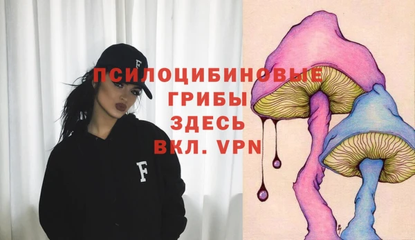 сатива Заводоуковск