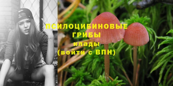 круглые Заволжье